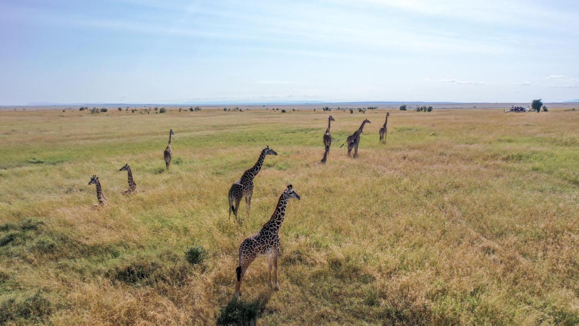 Sentrim Mara Lodge Ololaimutiek Exterior foto